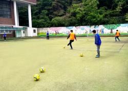 ǲ�챳��